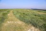 Baie de Somme (2016)